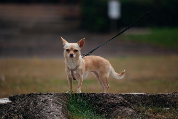 Combattre les bouffées de chaleur : astuces et solutions